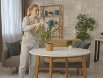 <h1>The Beauty of Indoor Plants: Bringing Nature Into Your Home</h1>