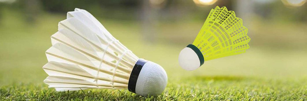 <h2>5 Basic Badminton Techniques that you MUST Know</h2>